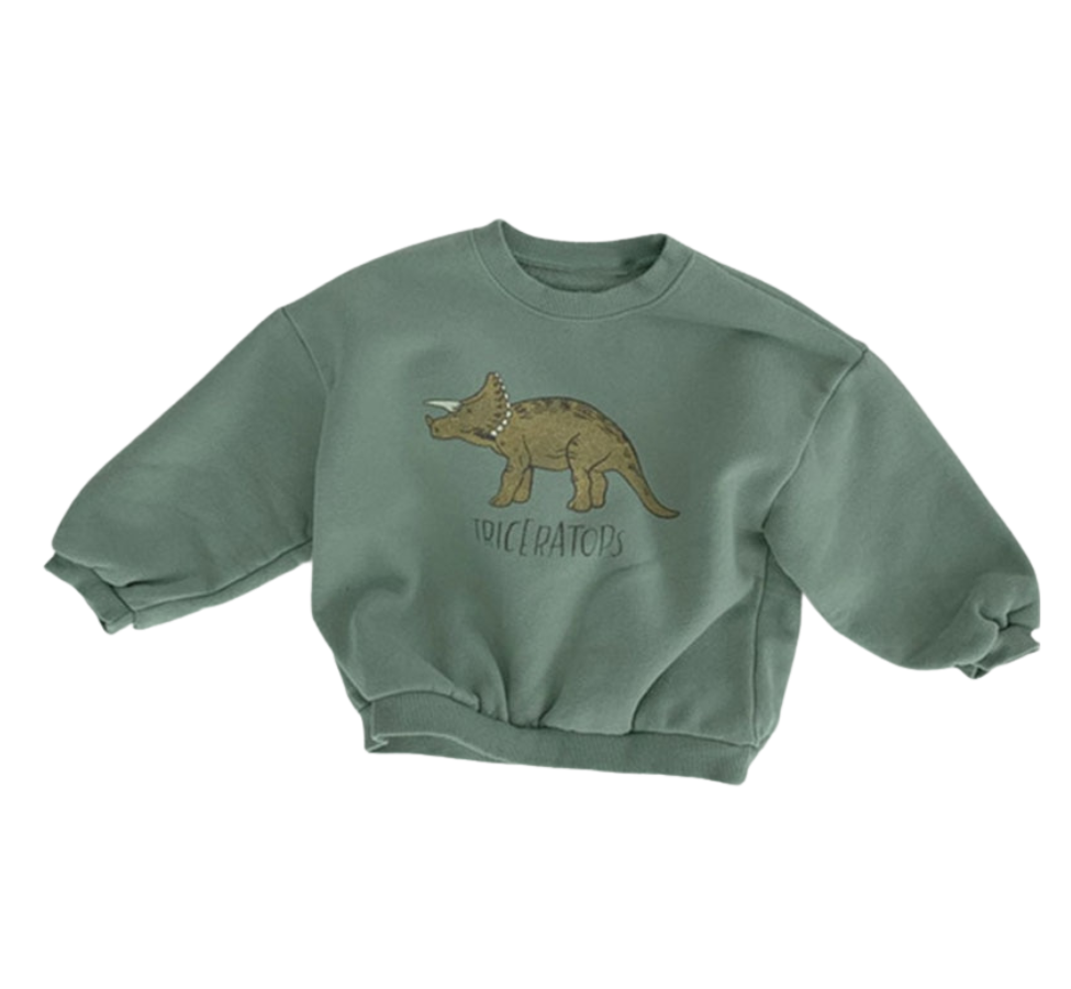 Triceratops sweatshirt online