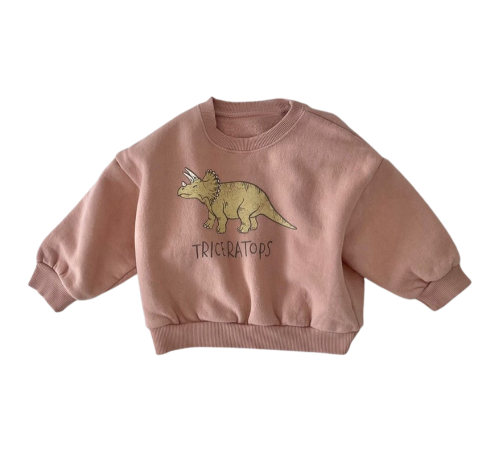 Triceratops sweatshirt outlet